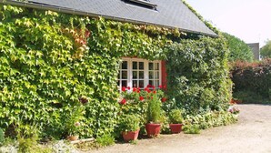 A building covered in ivy with a window and potted plants. - La Cécilève - Riville (RIVILLE)