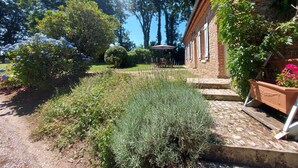 A garden with a stone pathway leading to a building with a brick facade.