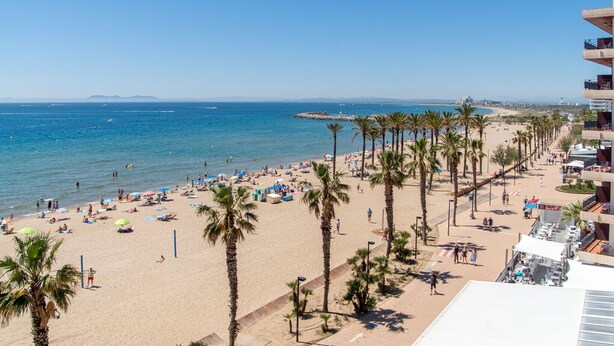 A beach with palm trees, umbrellas, and people.