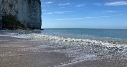 L'oiseau d'or au bord de mer *** - 2 pers. - Appartement RDC