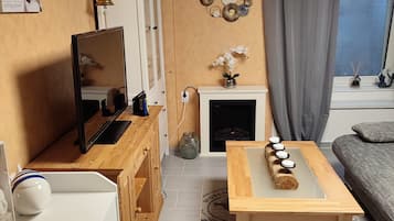 TV, fireplace, books