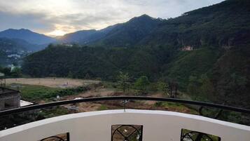 Superior Room | View from room