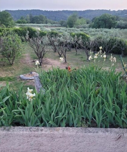 House in Provence Verte