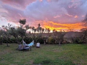 Property grounds - House in Provence Verte (Cotignac)