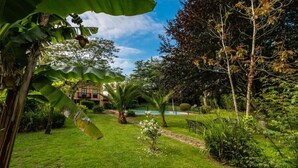 Un exuberante jardín con piscina, palmeras y un edificio al fondo.