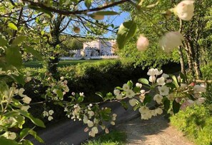 Stroll through the serene garden, surrounded by lush greenery and flowering trees, to the classical building with traditional architecture.