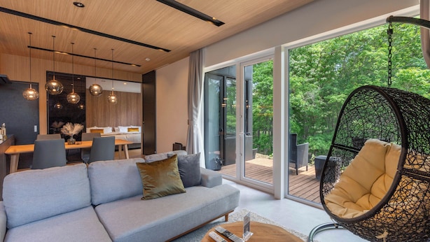 A modern living room with a grey sofa, a hanging chair, and a wooden coffee table. - JAPAVISTA RUSUTSU (Rusutsu)