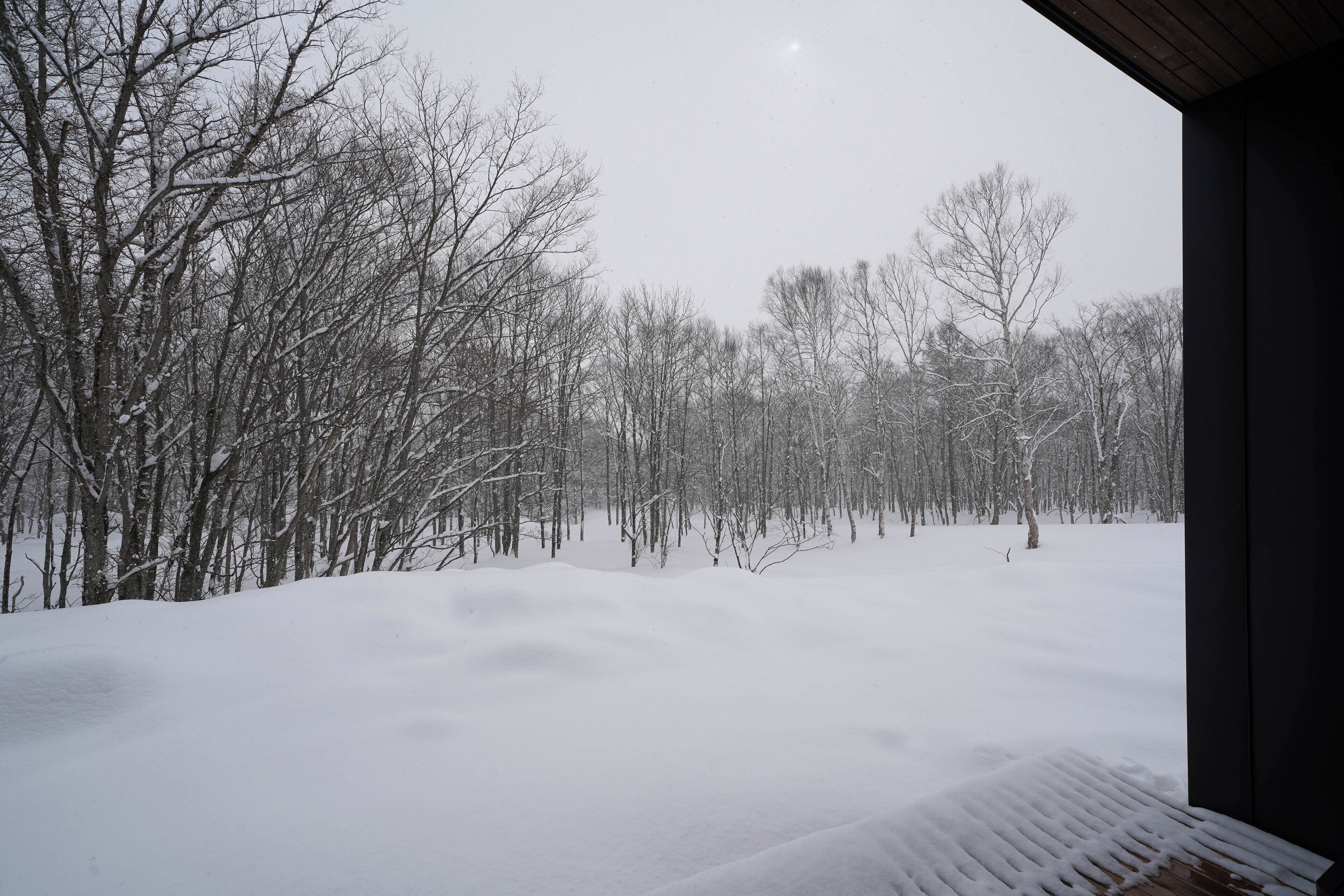 A snowy landscape with bare trees and a snow-covered ground.