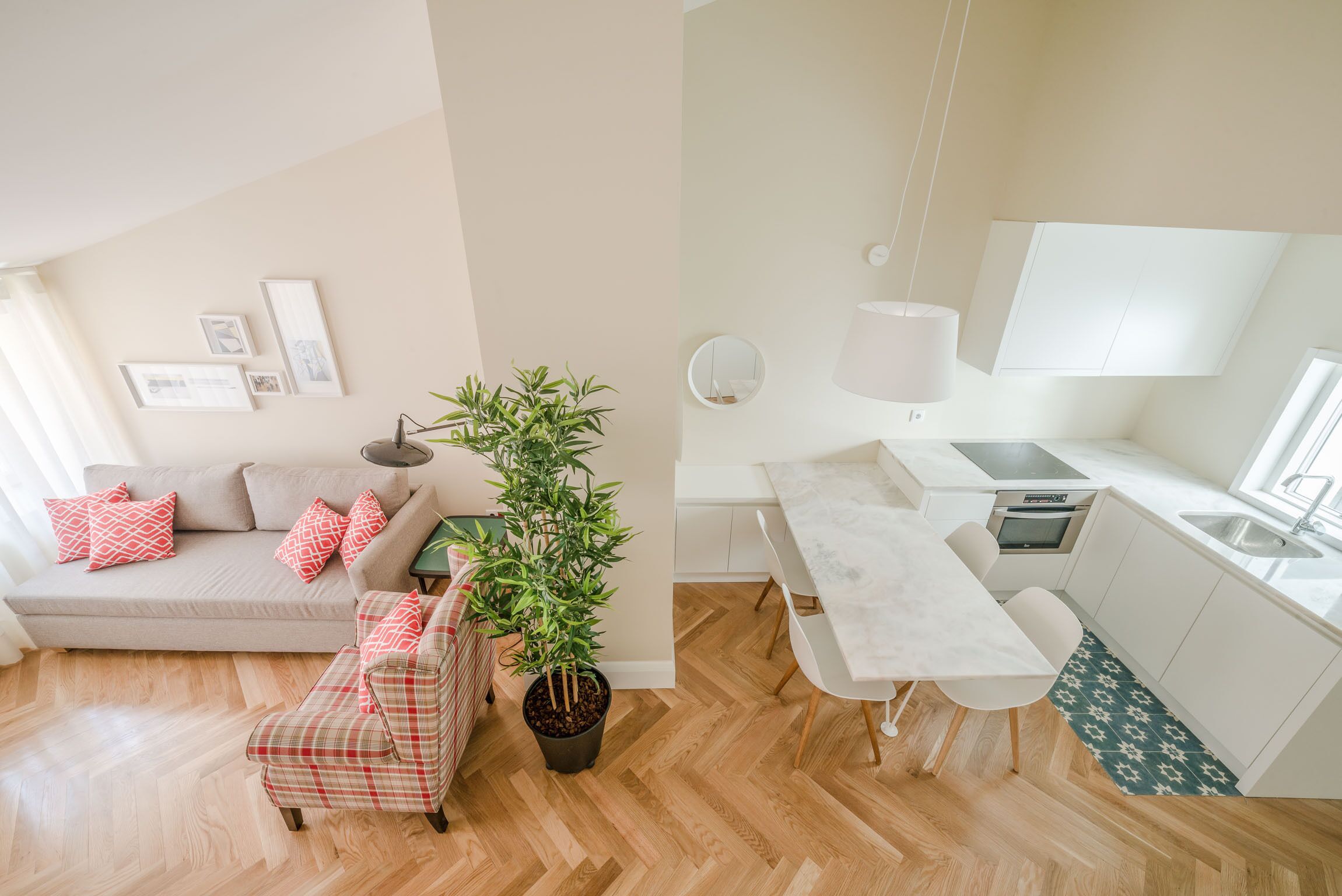 A modern apartment with a living area featuring a sofa, a plaid armchair, and a potted plant. The kitchen includes a dining table, a sink, and a stove.