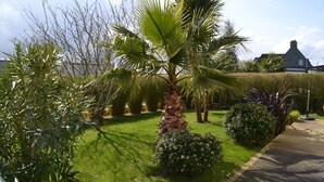Un jardin bien entretenu, agrémenté de diverses plantes et d’un palmier.