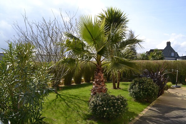 Ein gepflegter Garten mit verschiedenen Pflanzen und einer Palme.