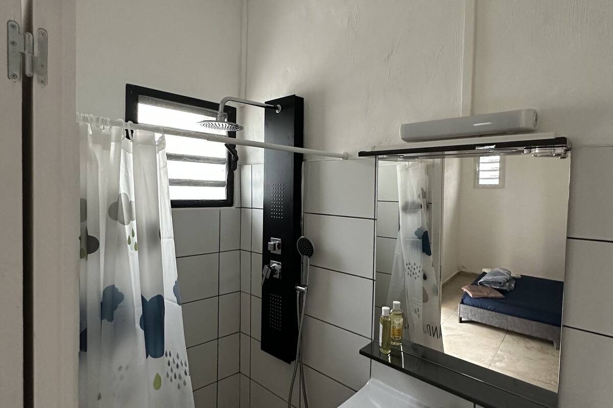basic double room | bathroom | shower, free toiletries, towels, soap