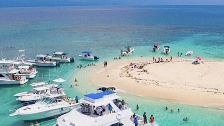 876 JA Oasis by Kingston Airport