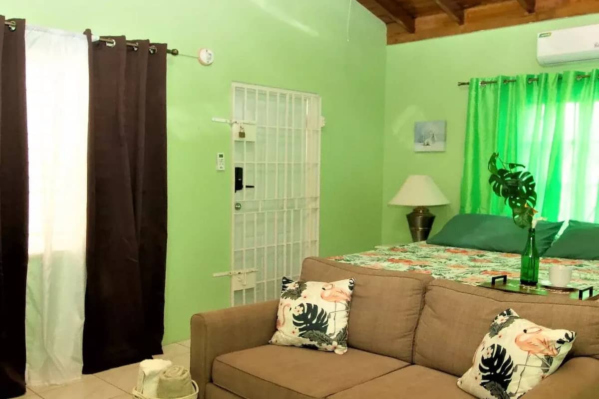 A room with a brown sofa, green curtains, a white door, and a green plant.