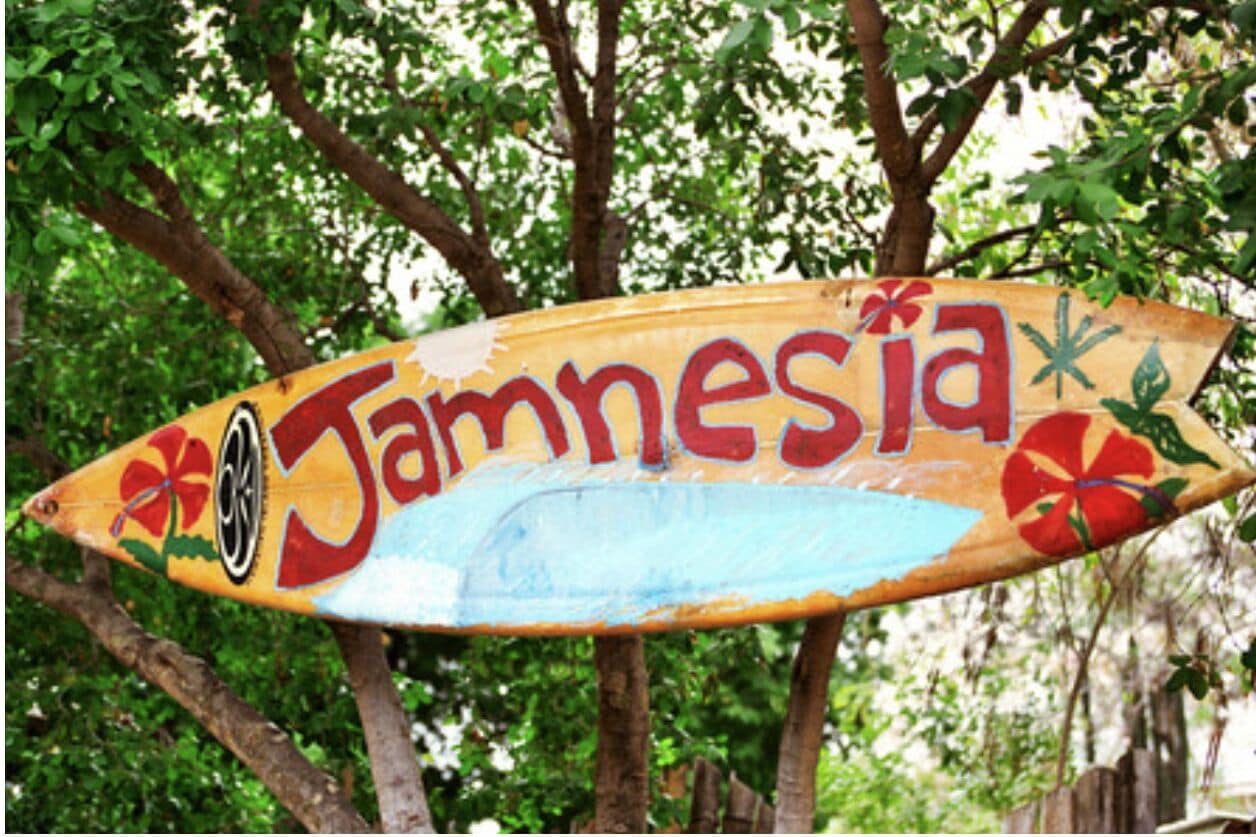 Photo - 876 JA Oasis & Homestay - by Kingston Airport