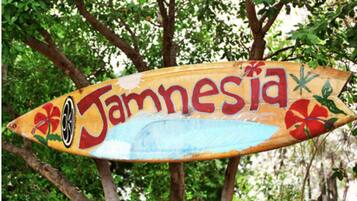 A wooden sign with the name "Jamnesia" painted on it, surrounded by trees.