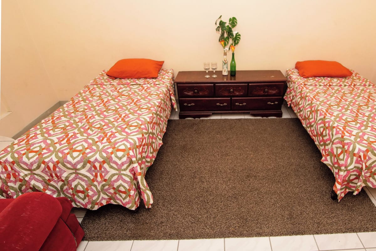 A room with two single beds, a brown rug, a dresser with drawers, and a small plant on the dresser.