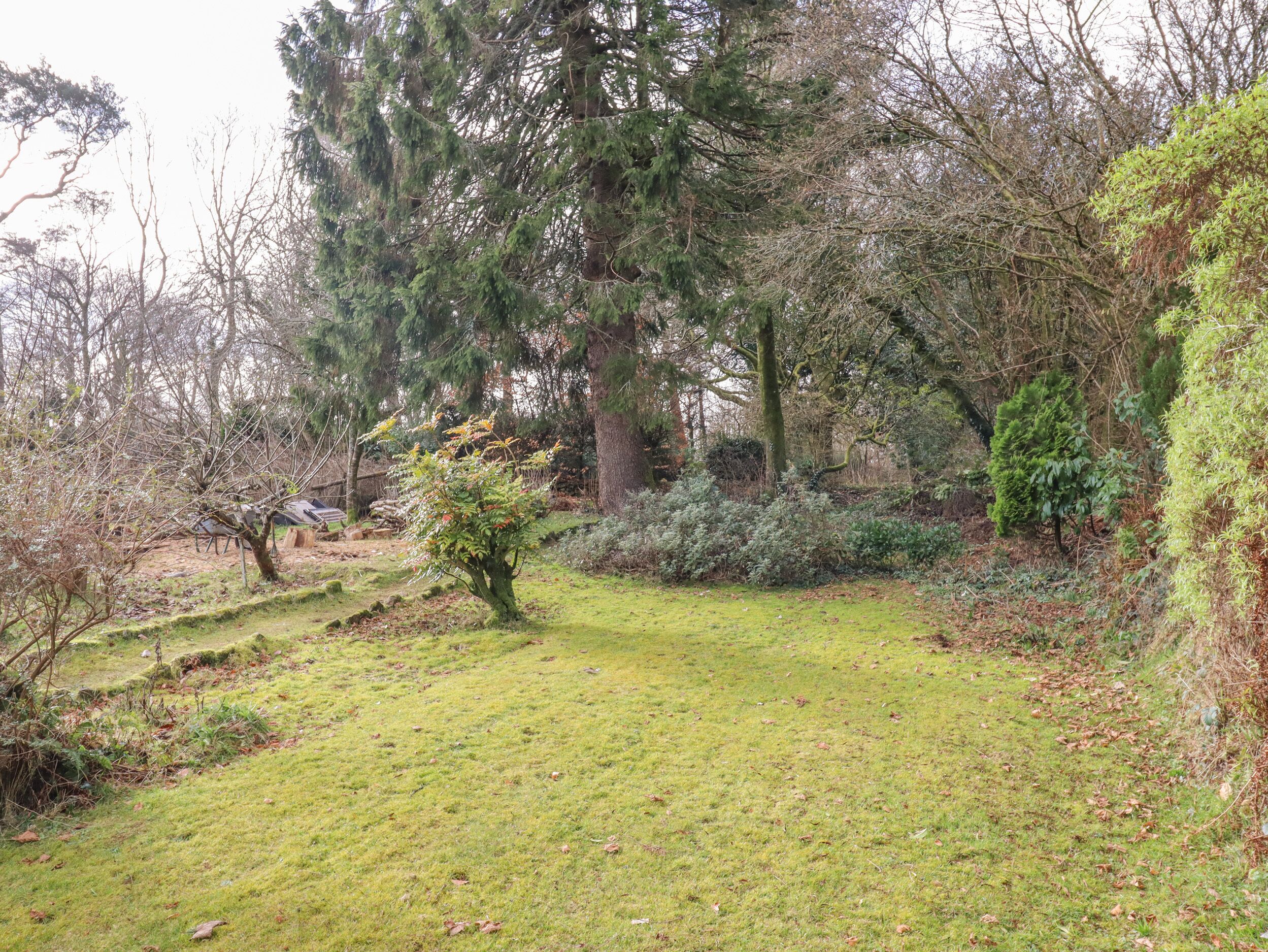 A garden with a variety of trees and shrubs, a grassy area, and a stone pathway.