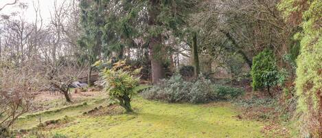 A garden with a variety of trees and shrubs, a grassy area, and a stone pathway.
