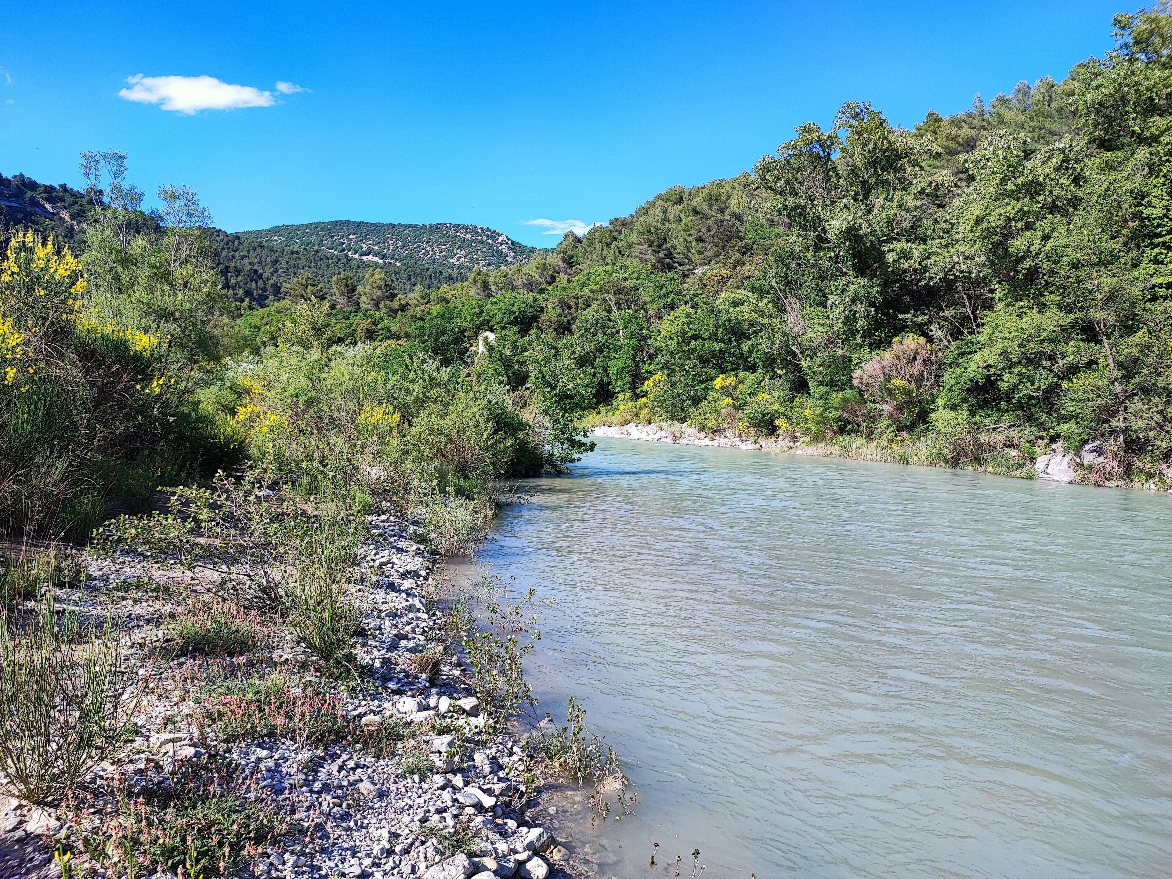 Une rivière qui traverse une zone boisée, avec des berges rocheuses et des collines en arrière-plan.