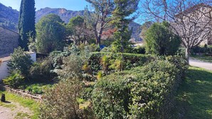 A lush garden with various plants and trees, a stone wall, and a clear blue sky. - Apartment in an old mill in a quiet area. Parc des Baronnies. (Aubres)