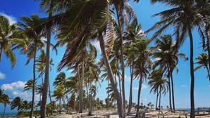 A beach with palm trees and picnic tables. - Itza Resort (Lighthouse Reef)