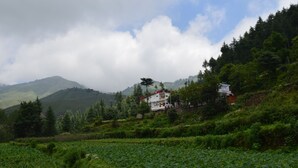 A house on a hillside with a lush green field in the foreground. - Hotel Burans And Restaurant (Chakrata)