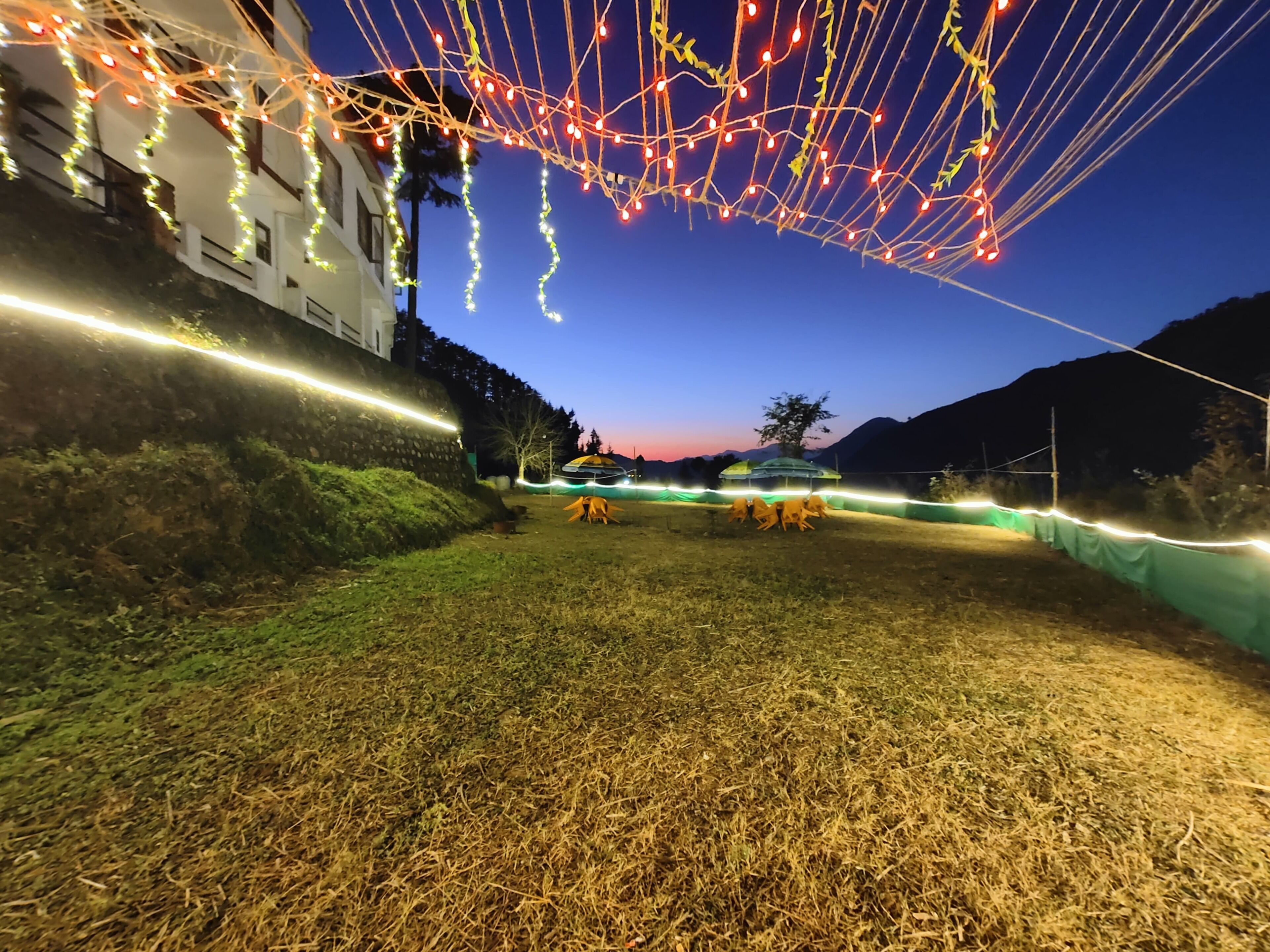Un espace extérieur verdoyant, avec des guirlandes lumineuses et une bâche verte.