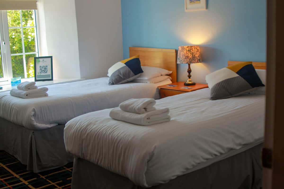 Standard Twin Room | Iron/ironing board, free WiFi, bed sheets