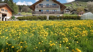 Un grand bâtiment doté d’un balcon, entouré d’un champ de fleurs jaunes.