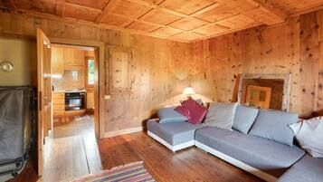 A wooden interior with a sofa, a fireplace, and a kitchen area.