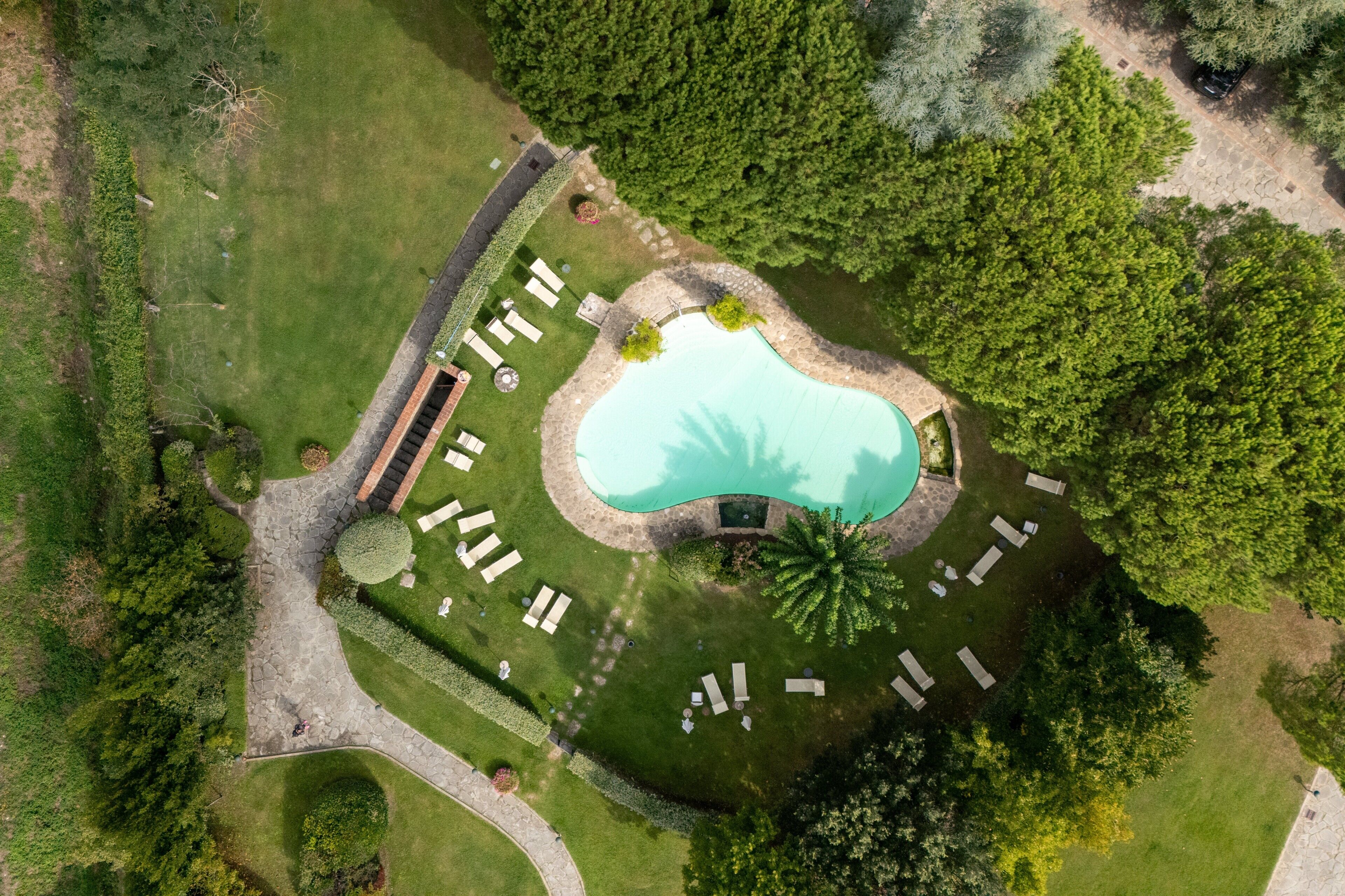 An aerial view of a landscaped area with a swimming pool, lounge chairs, and a palm tree.