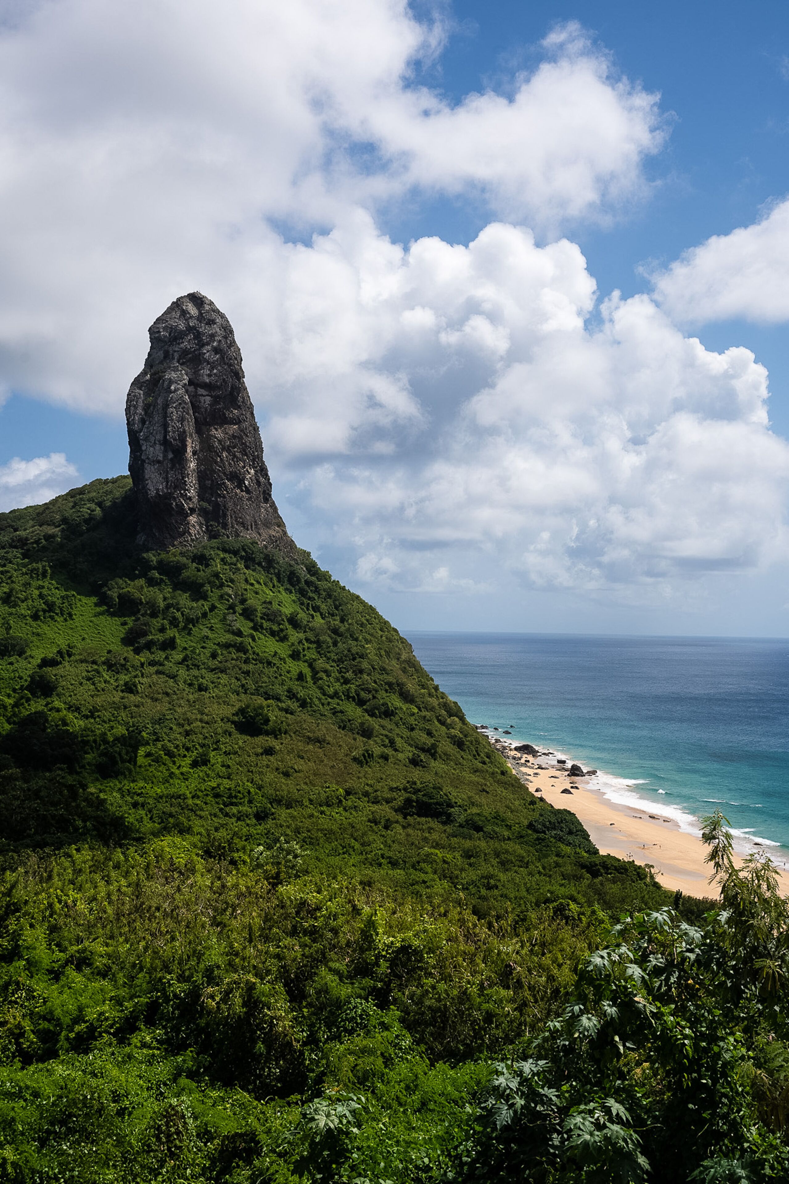 Vista da propriedade