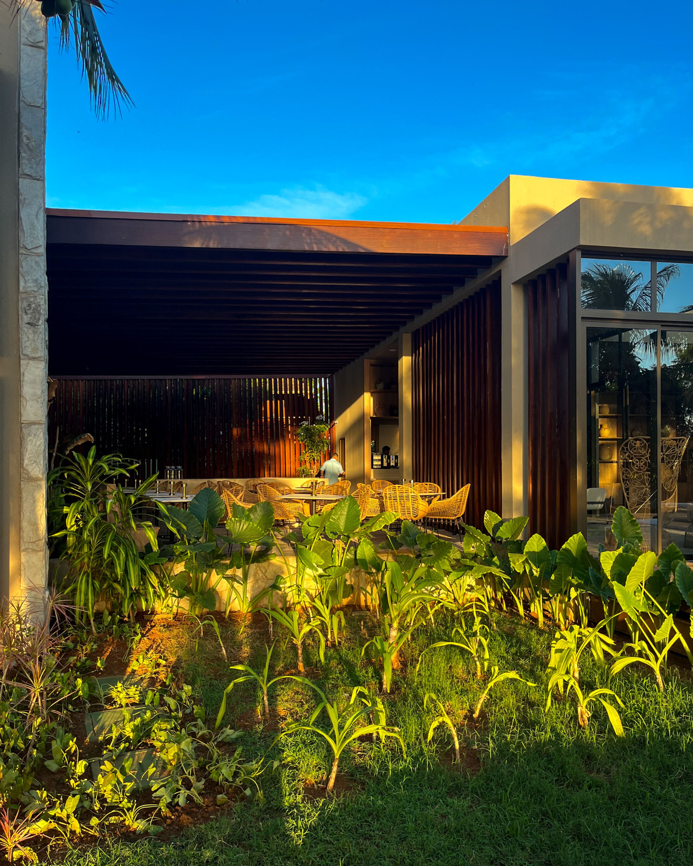 A modern outdoor seating area with a wooden pergola, lush greenery, and a clear blue sky.