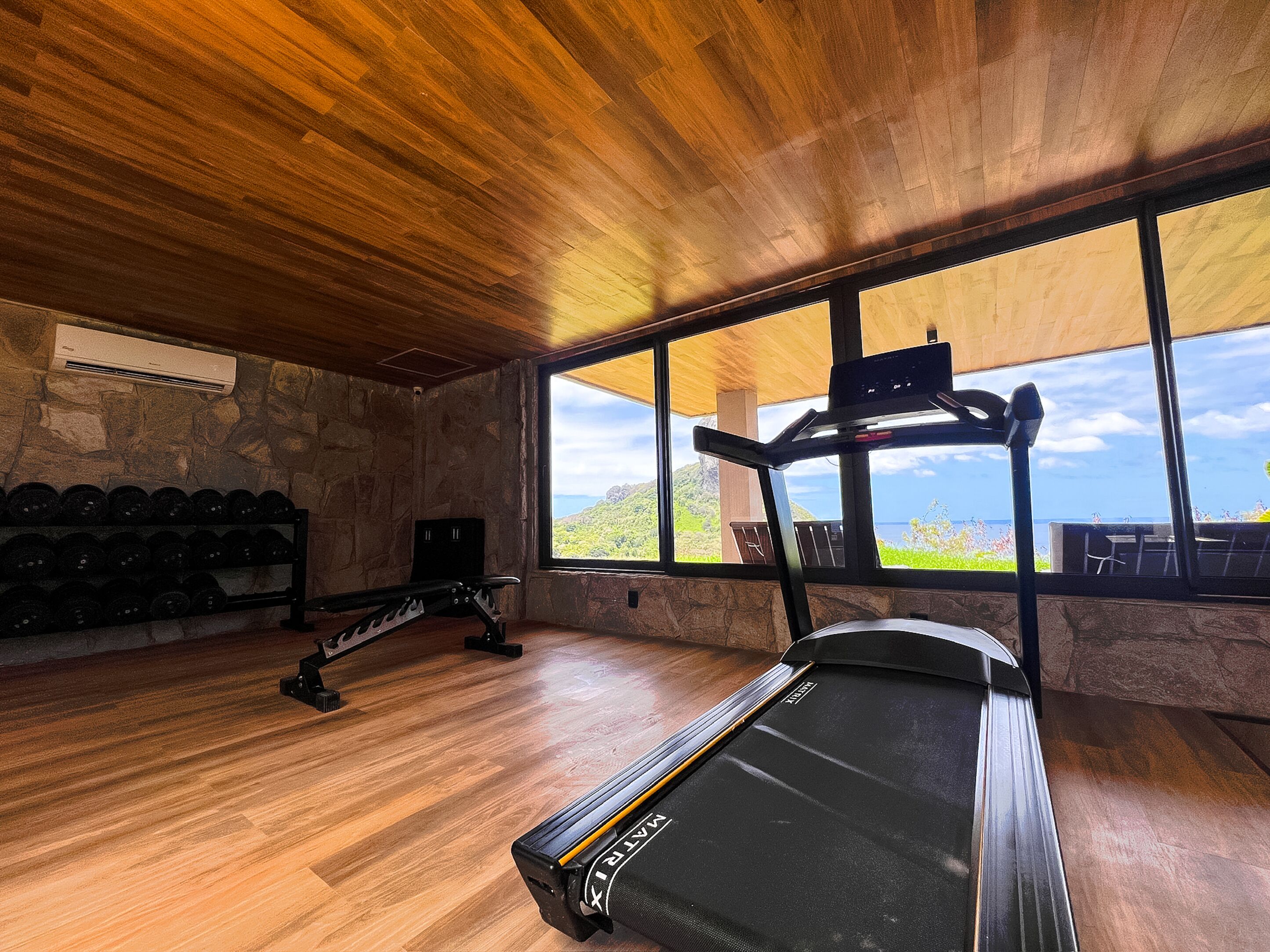 A gym with a treadmill, weights, and a stone wall.