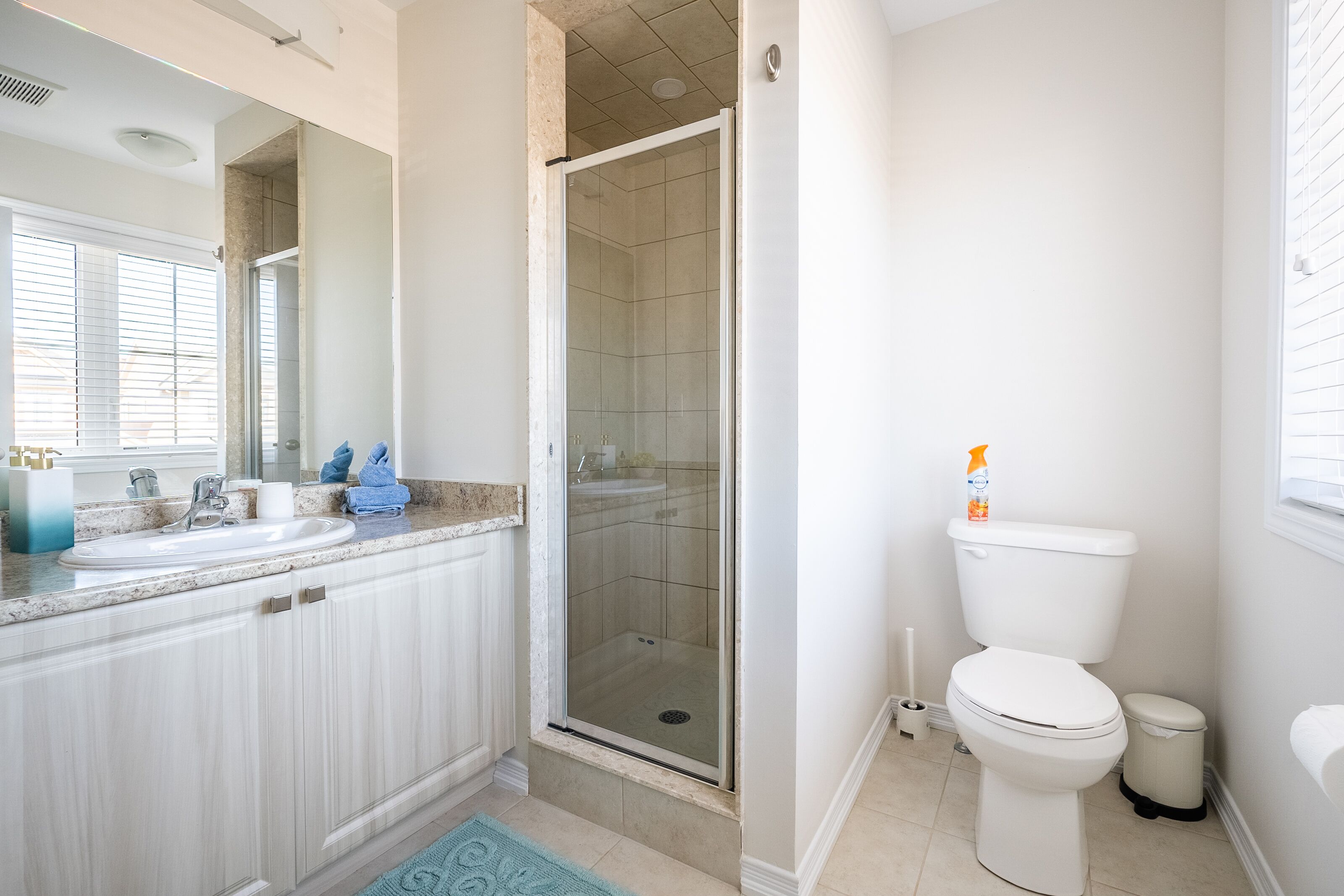 A bathroom with a shower, toilet, sink, and a mirror.