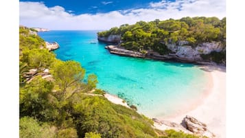 Serviettes de plage