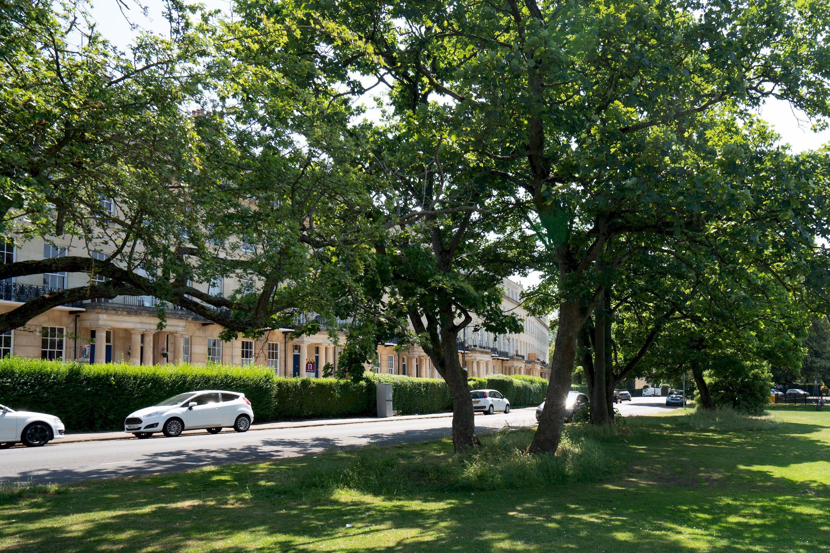 A residential street lined with trees and parked cars.