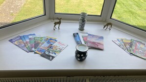 Un repisa de ventana con revistas, una maceta pequeña y dos figurillas.
