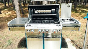 Een roestvrijstalen Summit draagbare grill met vier branders en een bijpassende brander, gelegen in een bebost gebied.