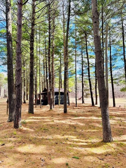 Wilderness Escape: Entire Adirondack Campground