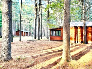 Property grounds - Wilderness Escape: Entire Adirondack Campground (Russell)