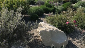Ein angelegter Garten mit einem Swimmingpool, einem Steinhaus und Blick auf einen Hügel mit Bäumen.