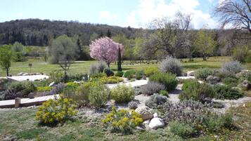 Un jardin aménagé avec différentes plantes et arbres, un sentier en pierre et, en arrière-plan, une vue sur une colline boisée.