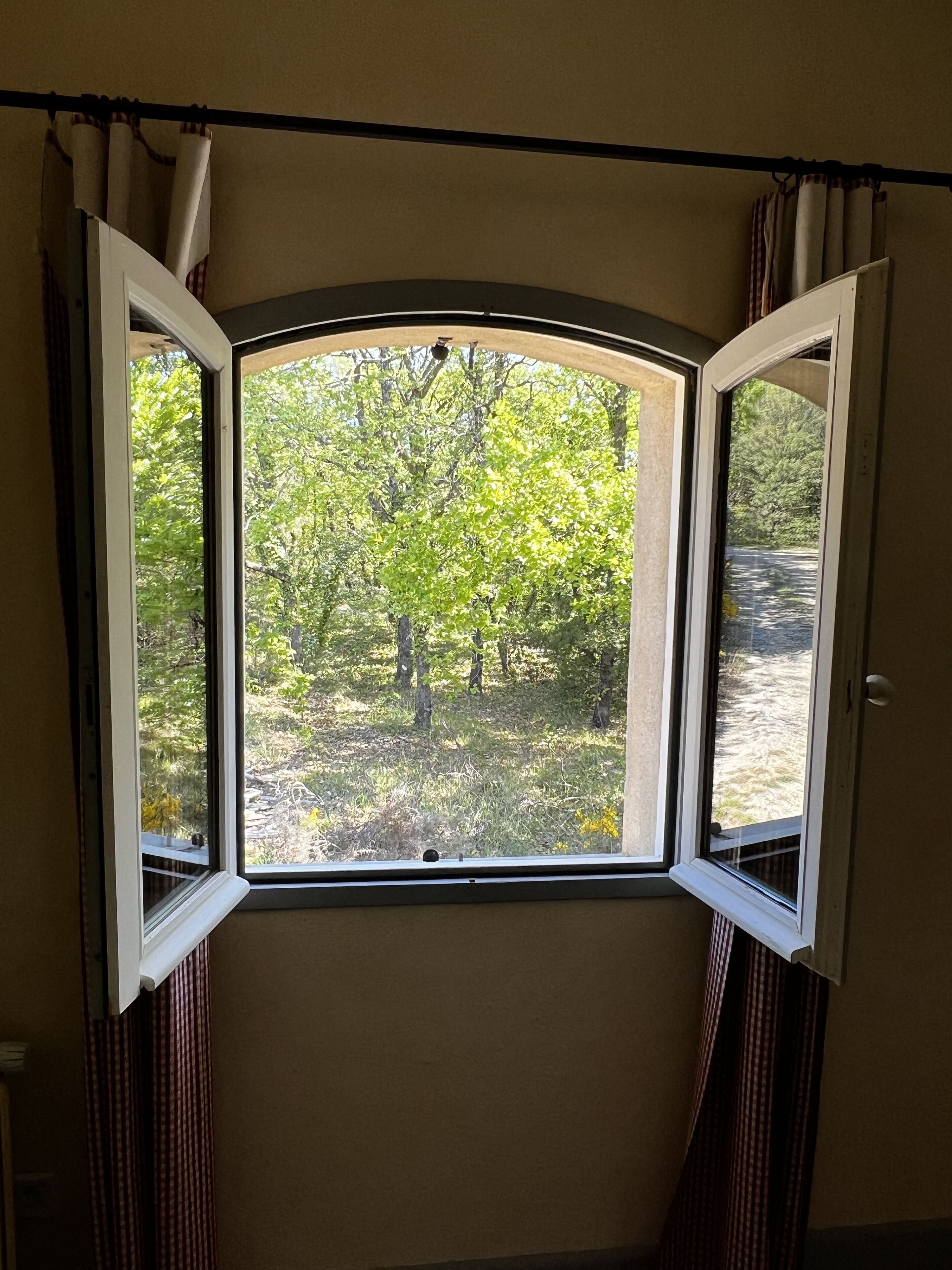 A room with a window overlooking a forested area.