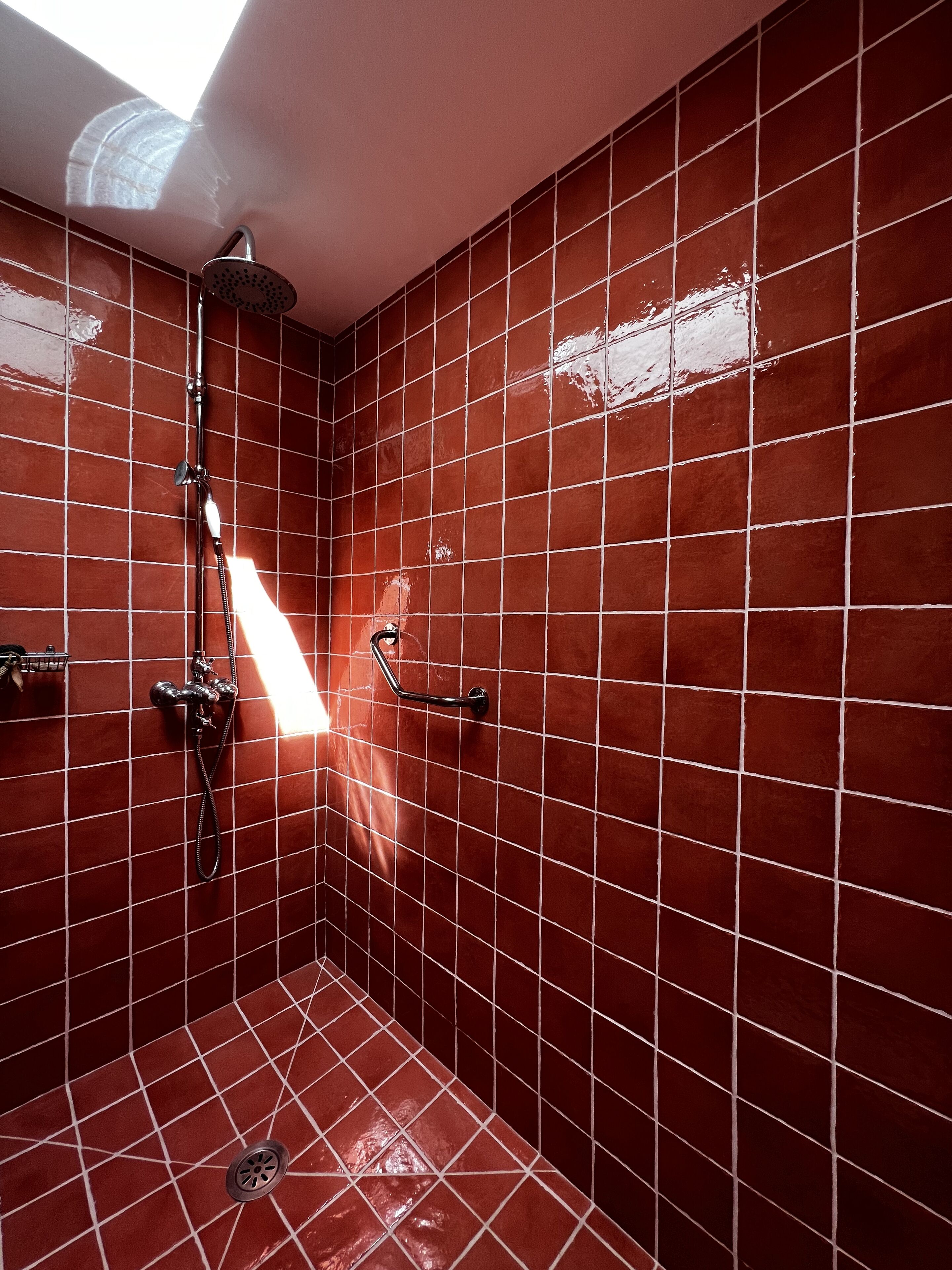 A bathroom with red tiled walls, a shower with a handheld showerhead, and a grab bar.