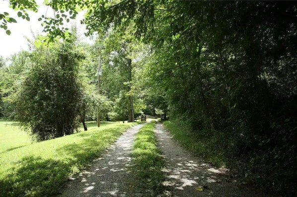 Un étroit sentier de gravier bordé d’une végétation luxuriante et verdoyante, qui mène à une zone ombragée.