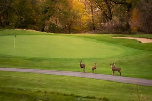 Un campo de golf con un camino despejado y un marcador de bandera.
