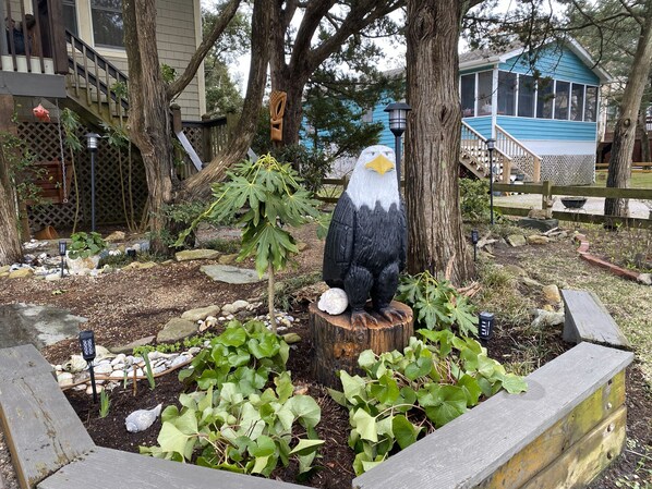 Stunning garden with a majestic eagle sculpture, surrounded by lush greenery and a fig tree.