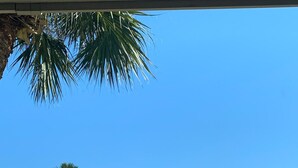 Een overdekt terras met een zwembad, omringd door palmbomen en een gebouw met balkon.